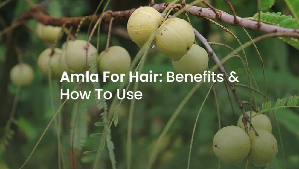 Amla for hair growth
