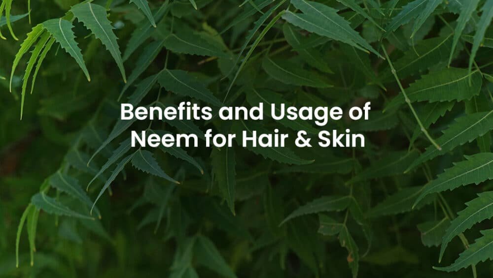 Benefits and usage of Neem for Hair & Skin